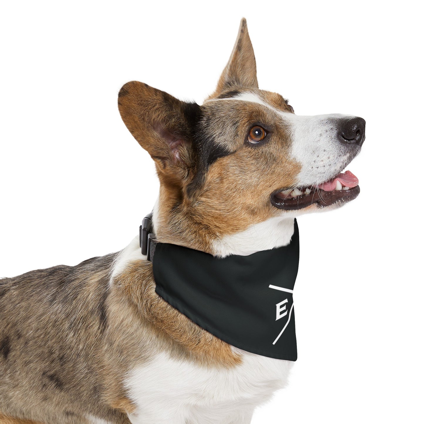 EA Logo Pet Bandana Collar