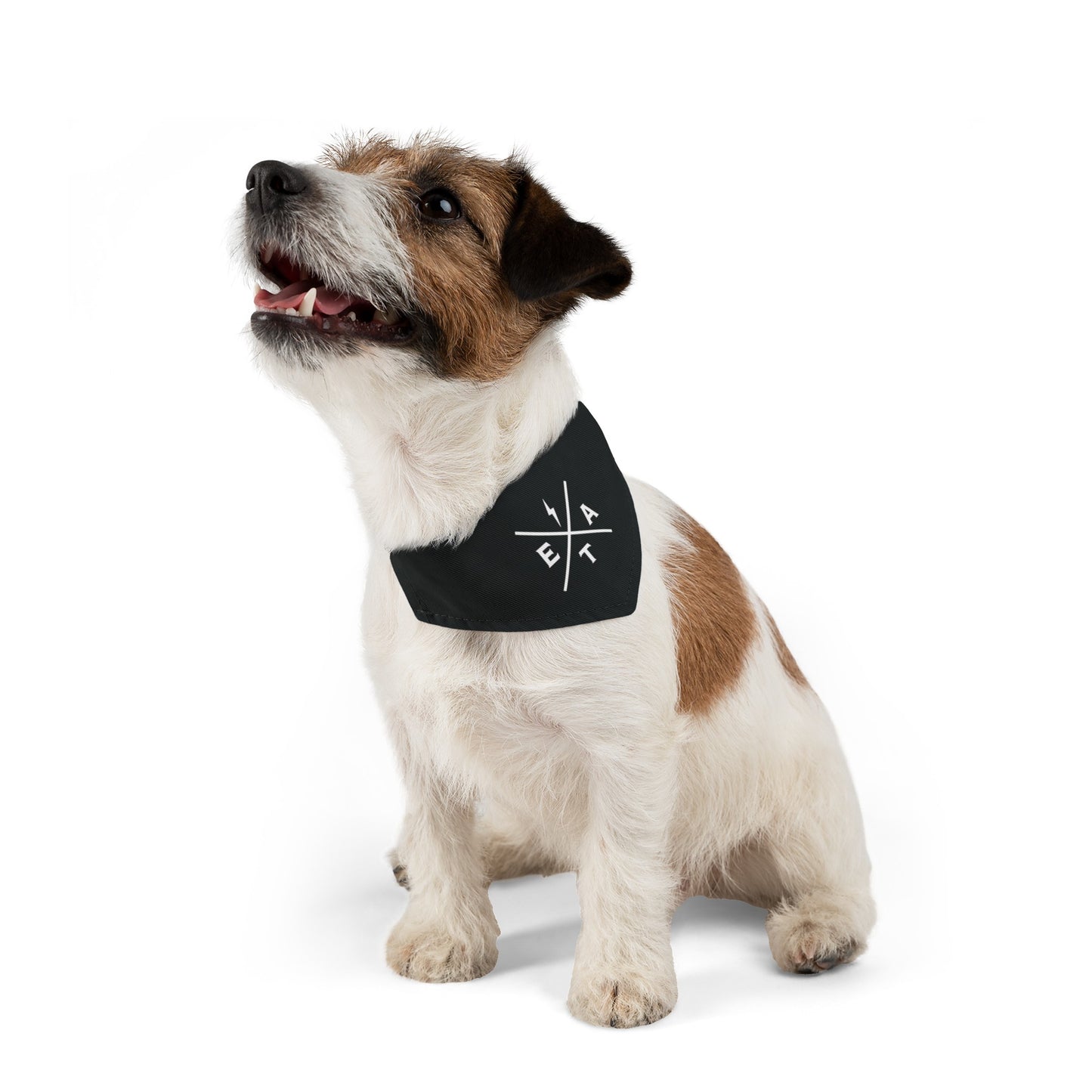 EA Logo Pet Bandana Collar