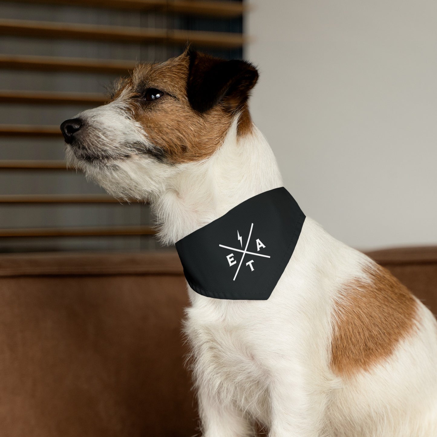 EA Logo Pet Bandana Collar