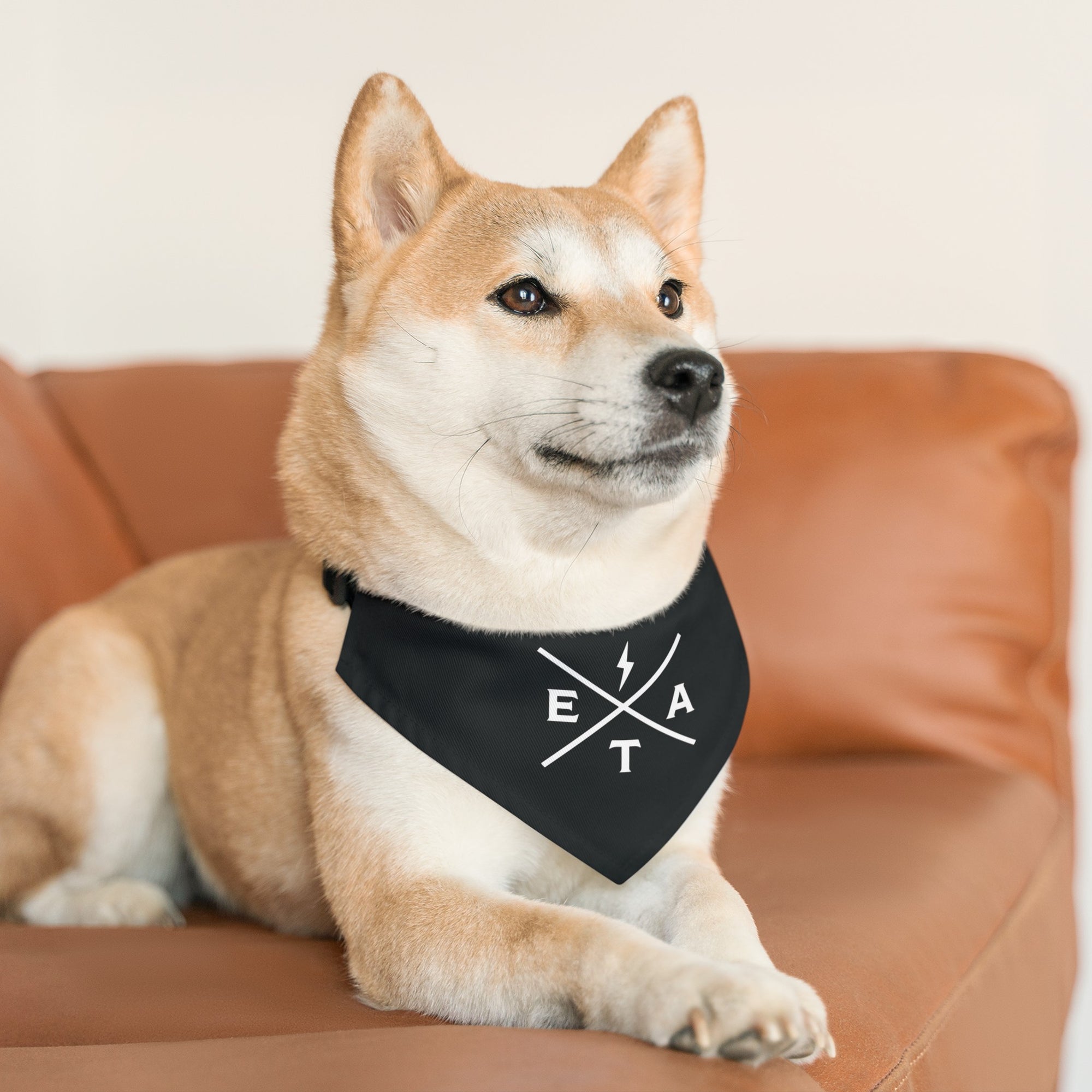 EA Logo Pet Bandana Collar